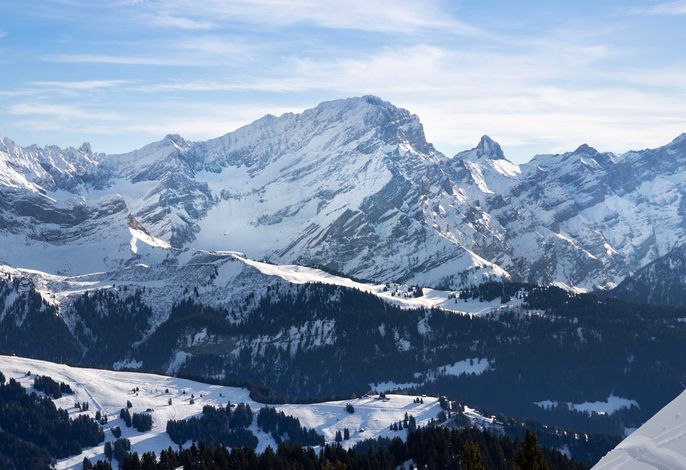 Bild 12