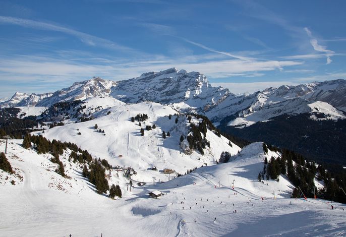 Bild 14