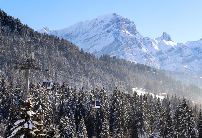 Bild 11