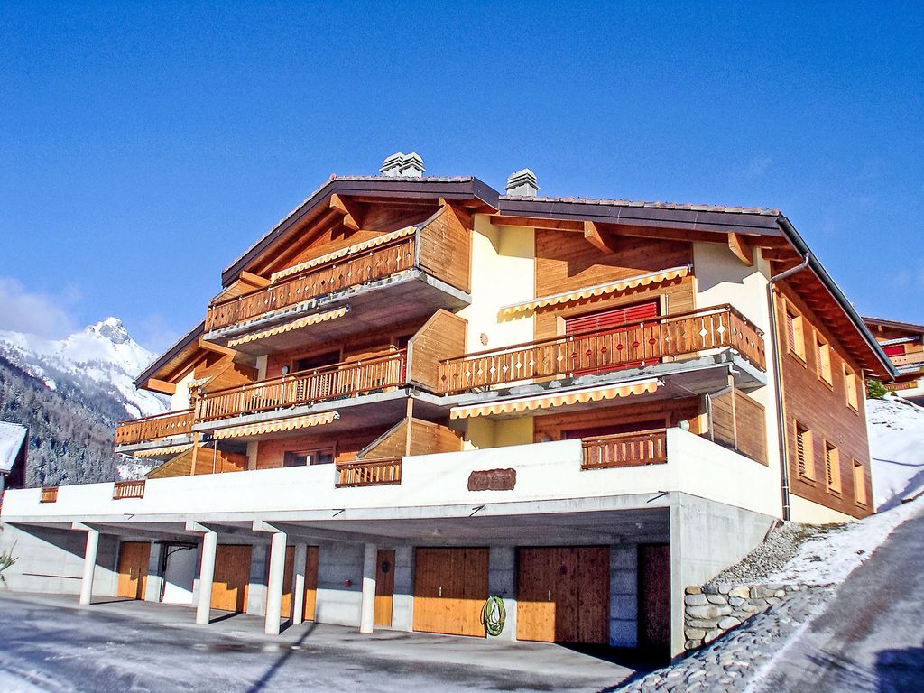Caroubier 6