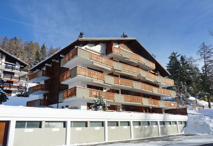Bild 7