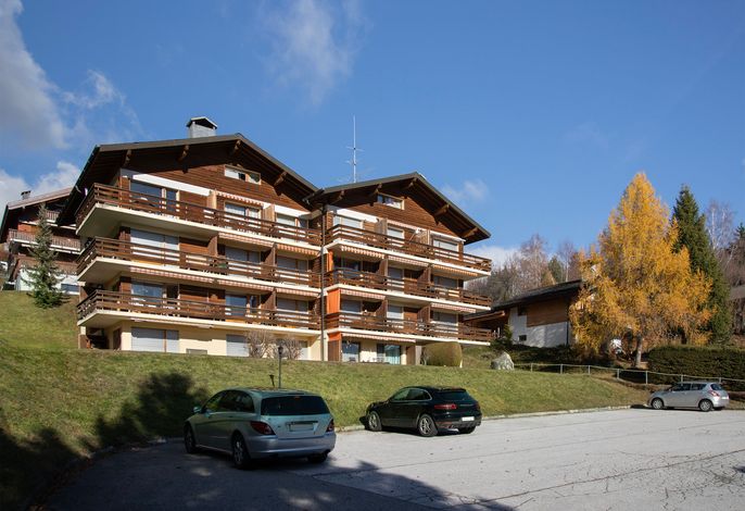 Bild 2