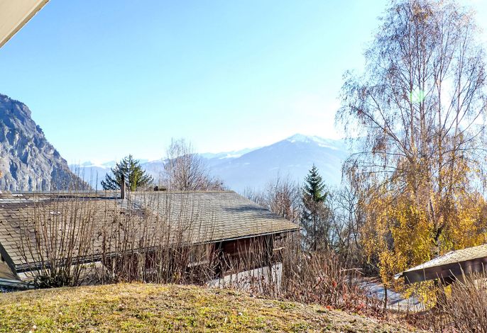 Bild 5