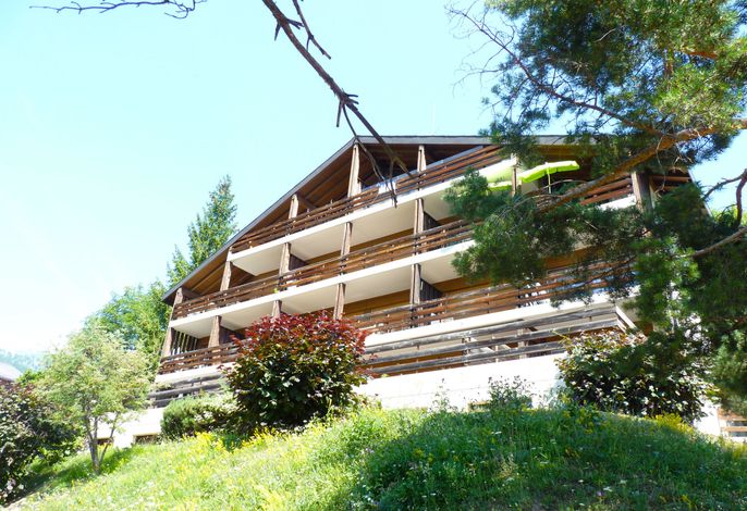 Bild 5