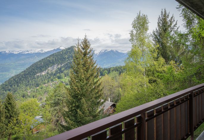 Bild 5