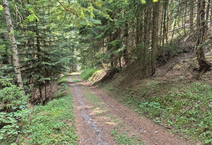 Bild 17