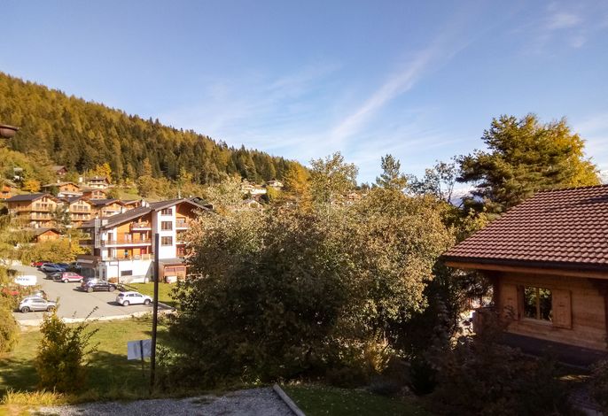 Bild 8