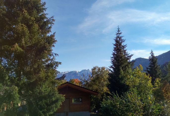 Bild 7