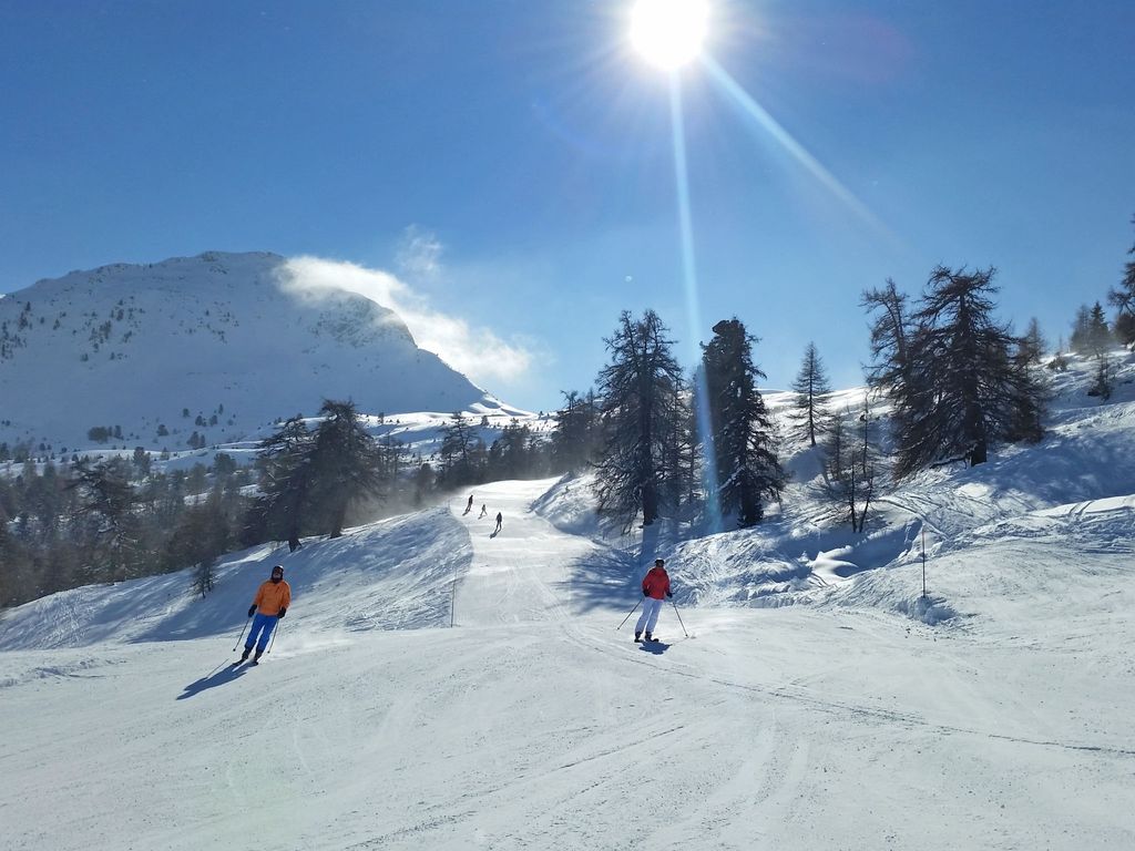 Edelweiss