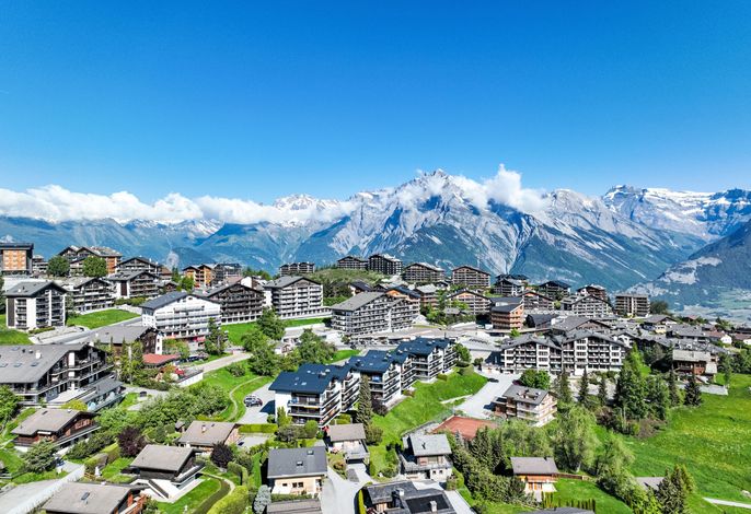 Bild 15