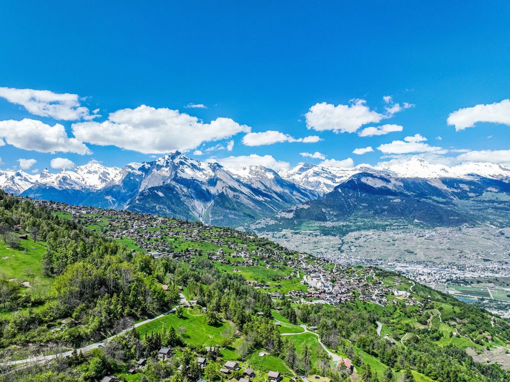 Grand Panorama A11