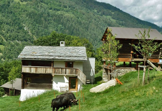 Bild 15