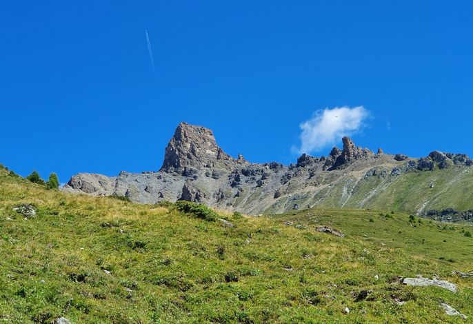 Bild 14