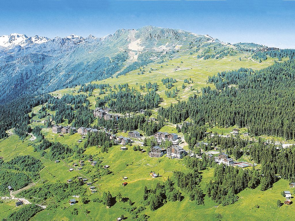 Les Dauphinelles