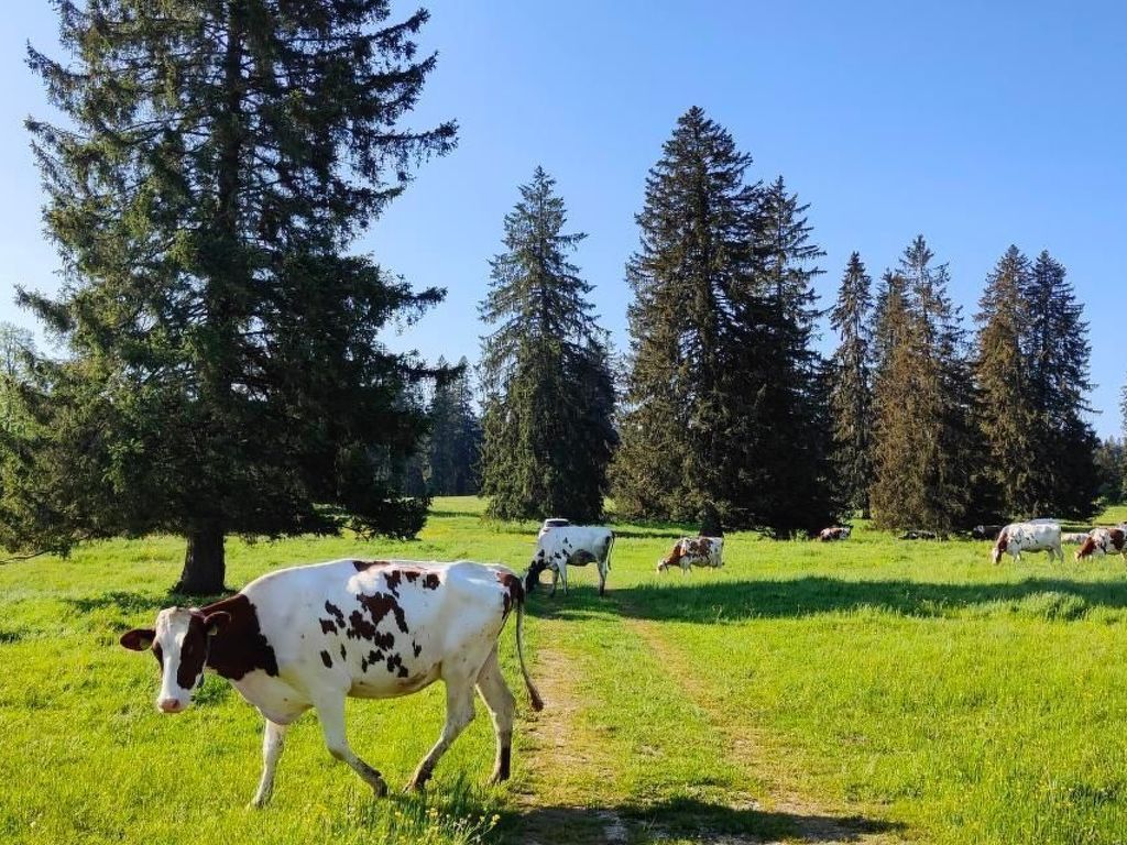 la ferme de la gaby