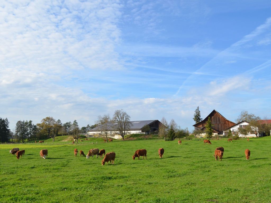 Wohnung "Rustique"