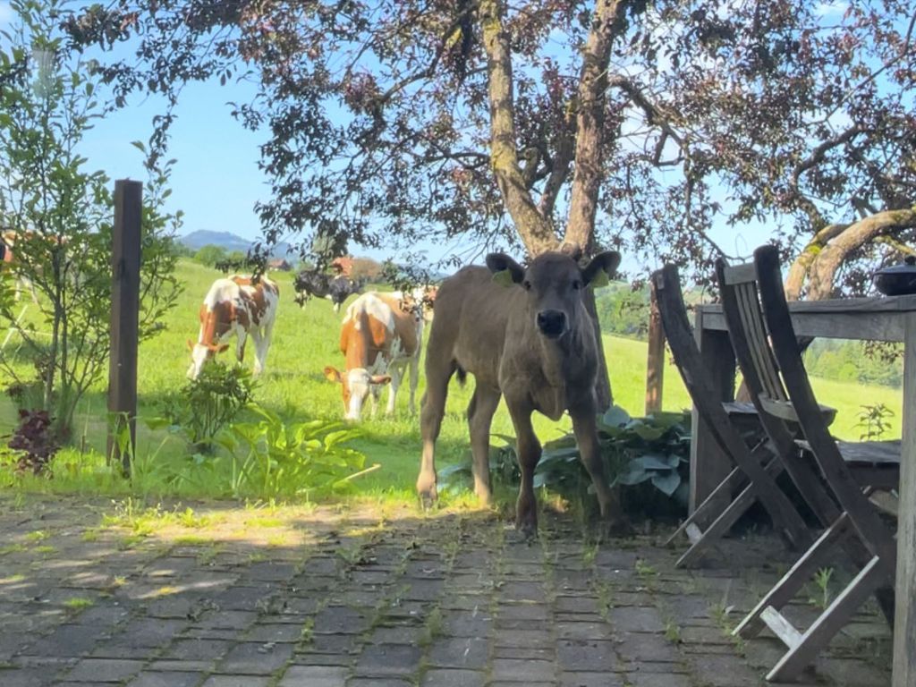 Rückzugsort mitten in der Natur