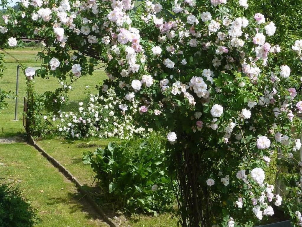 in Hasle-Rüegsau