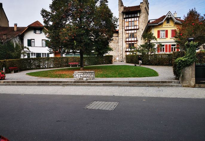 Bild 6