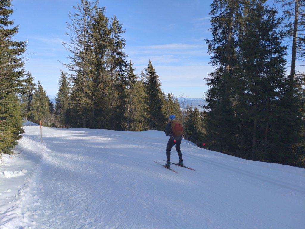 FeWo Südhang