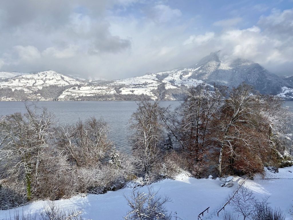 Seepark, direkt am See