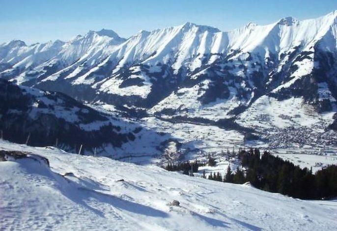 Bild 15