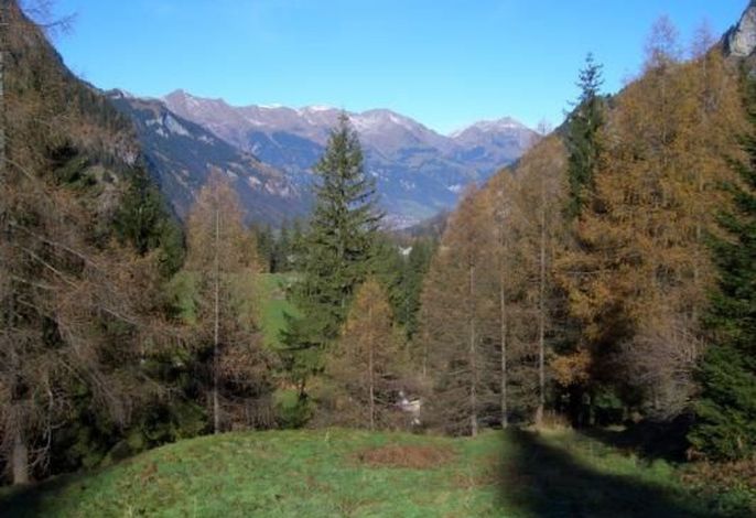 Bild 11