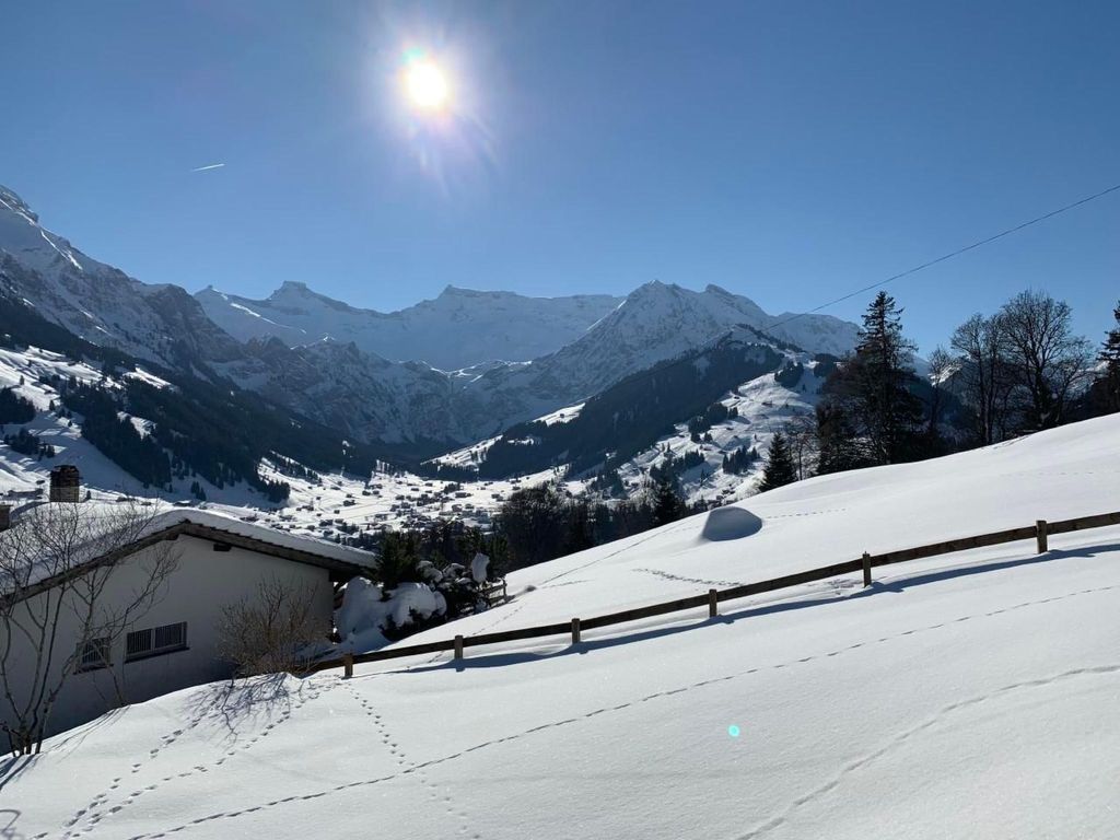 Panorama Adelboden