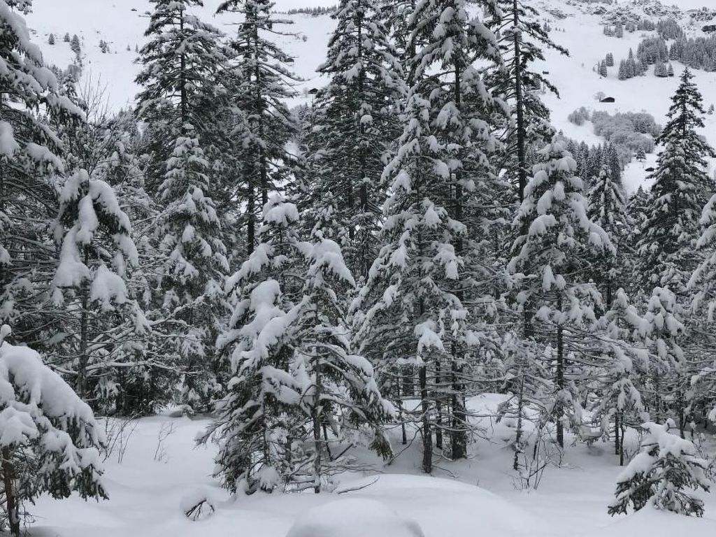 Panorama Adelboden