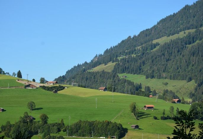 Bild 7