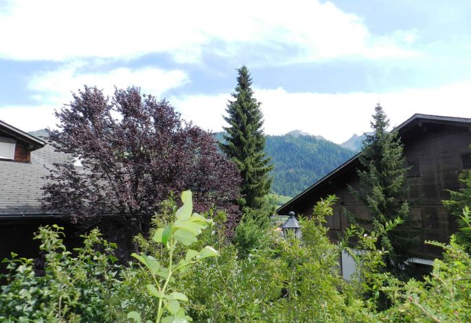 Bild 12