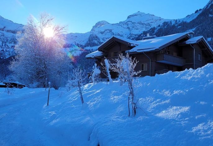 Bild 11
