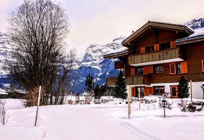 Bild 7