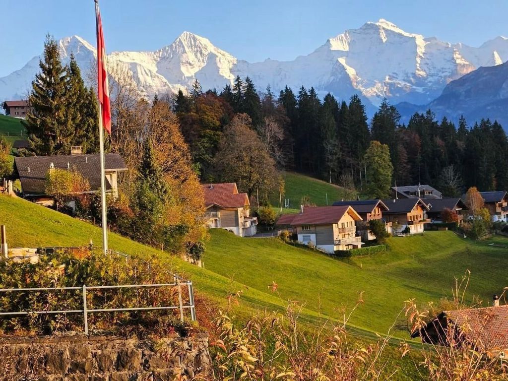 Chalet Friedheim