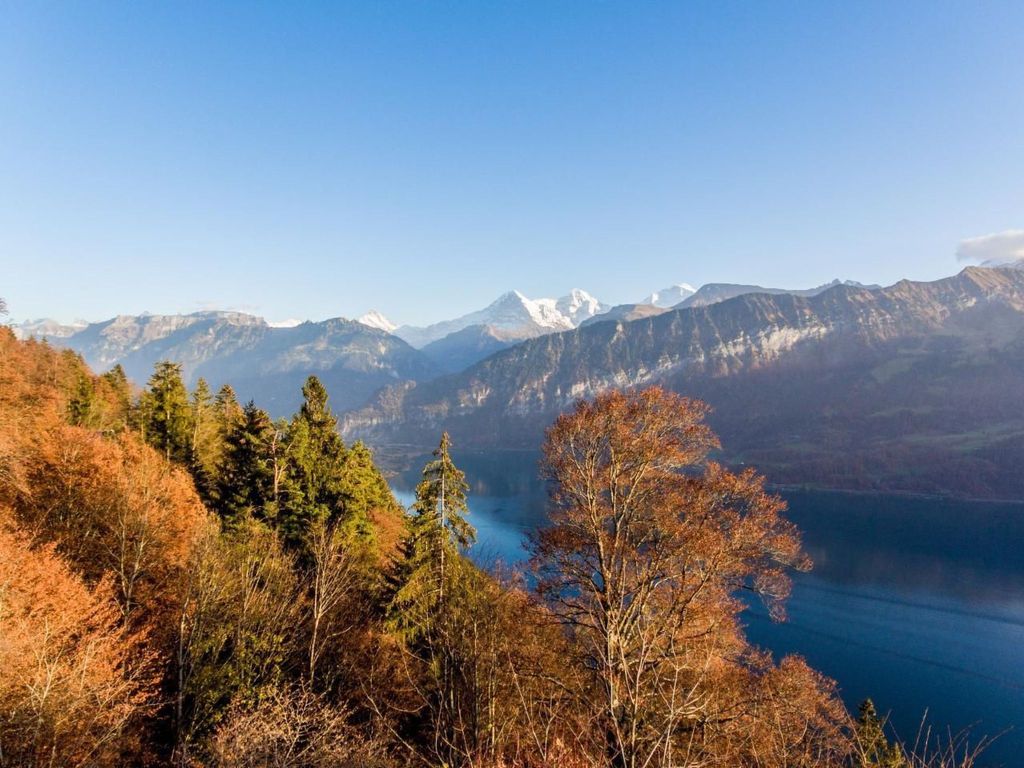 Apartment Alpenrose 2.5 mit Mitbenutzung SPA & Wellness
