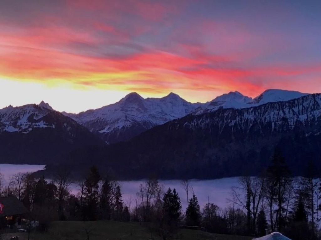 Einzigartige Holzhütte mit Bergpanorama