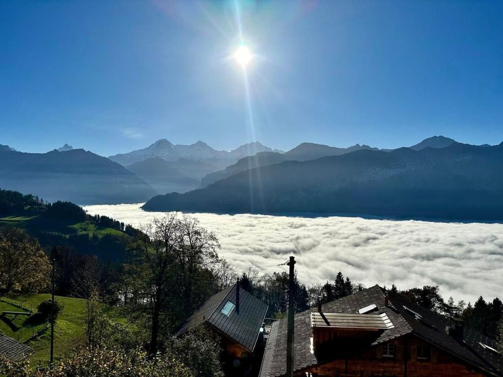 Panorama-Beatenberg