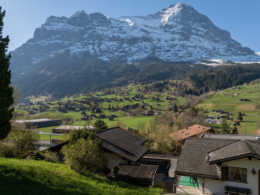Strassscheuer