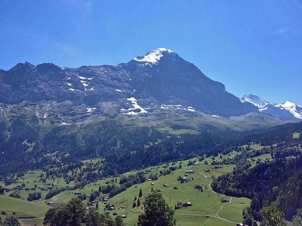 Chalet Bachsbort 14