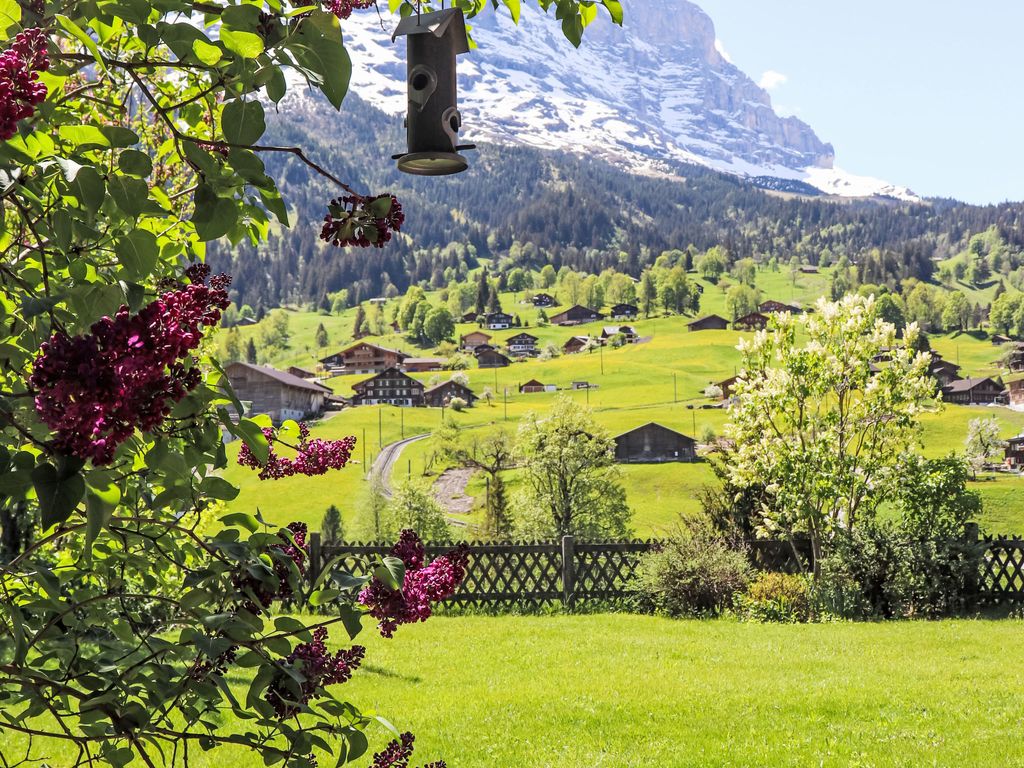 Chalet Gletscherfloh