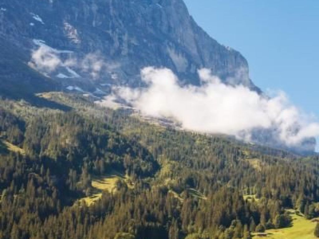 Chalet bei der Arve 4 Bett Wohnung
