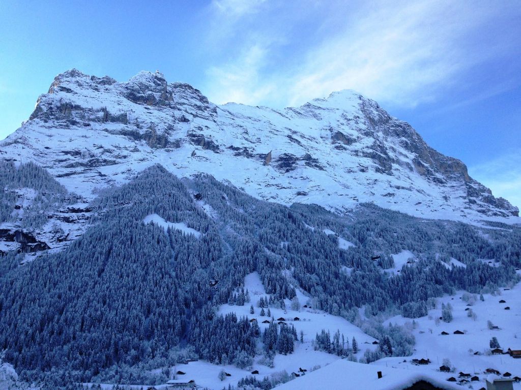 Apartment Matterhorn