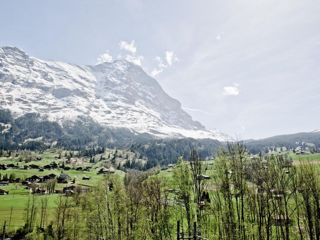 Apartment Eiger
