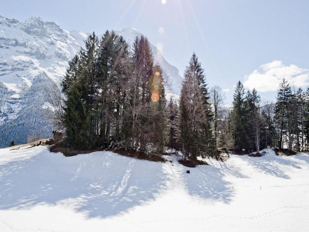 Apartment Grindelwaldgletscher