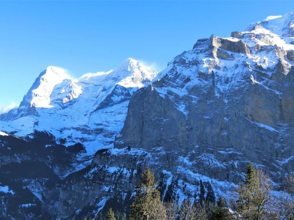 Chalet Raufthubel