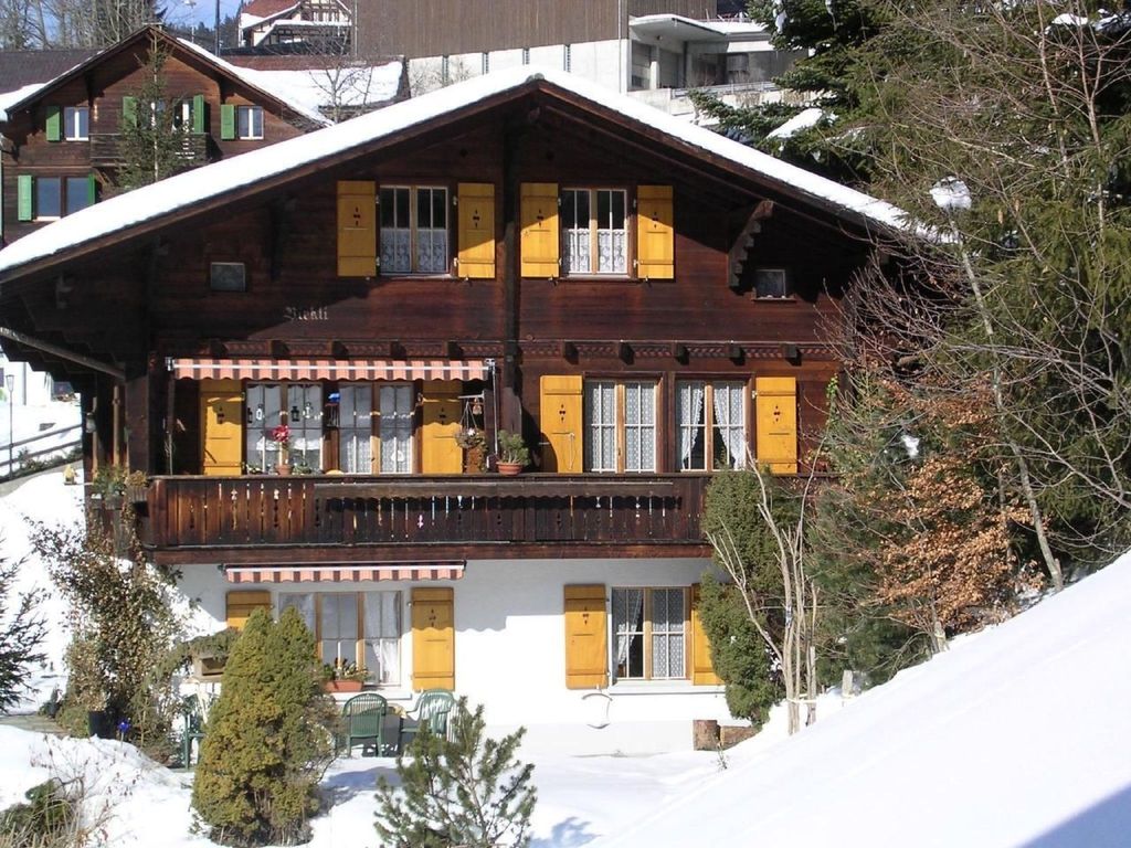 Chalet Birkli