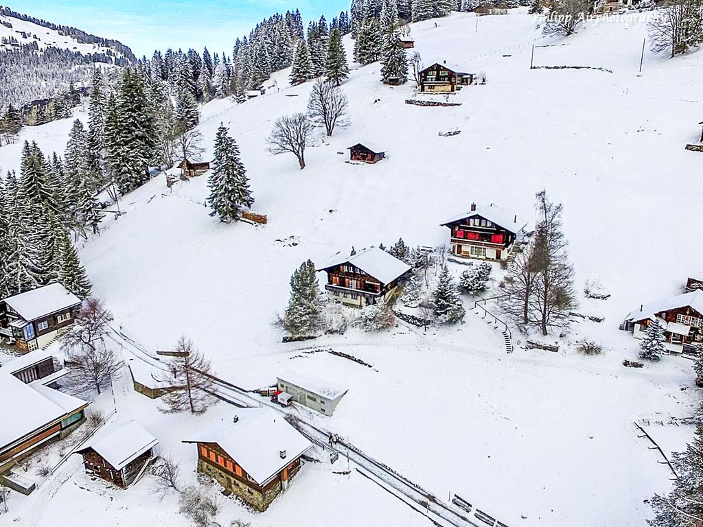 Jungfrau a d Ledi