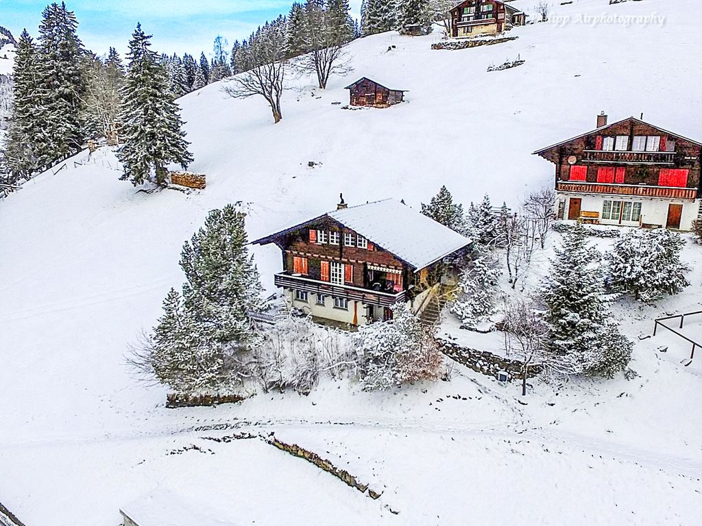 Jungfrau a d Ledi