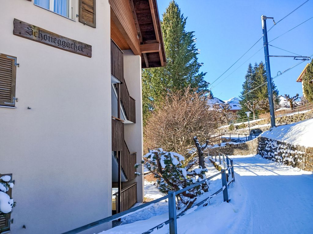 Schoneggacher Apt. S