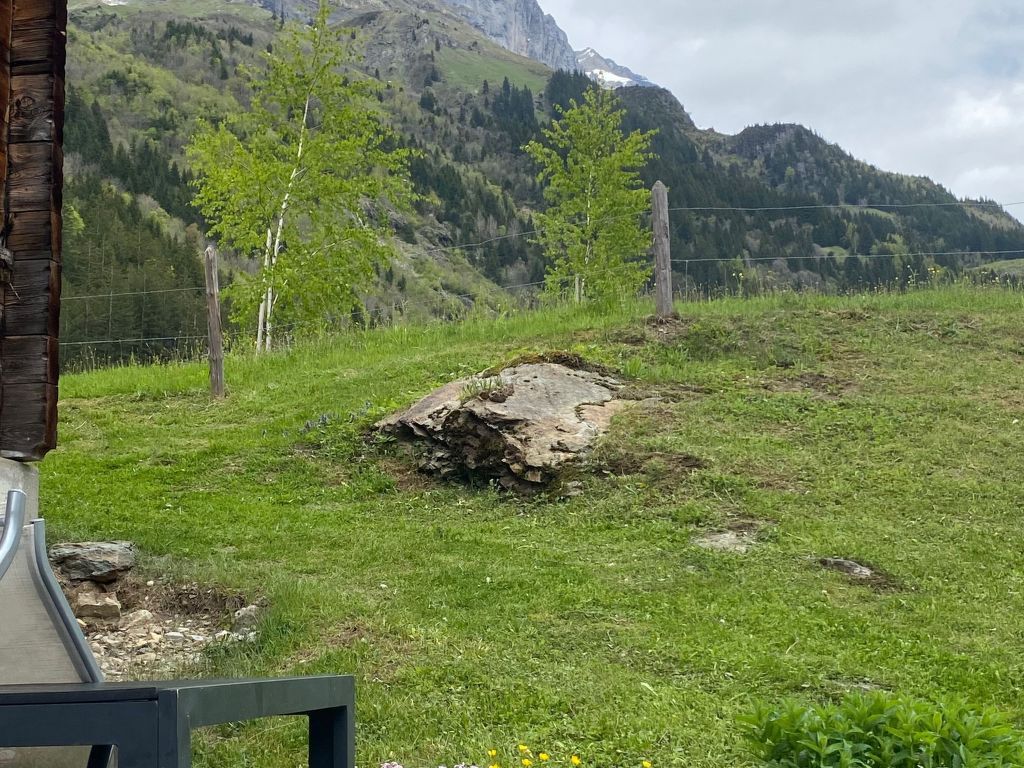 Alpenruh